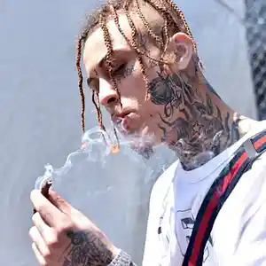 Picture for song 'Lil Skies Type Beat' by artist 'Lil Tree'