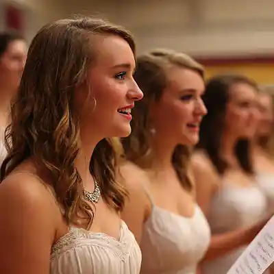 Picture for song 'Shadowettes Serenade' by artist 'Ralf Tygerz Project'