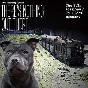 Picture for song '13 Sterilize' by artist 'The Delivery System'