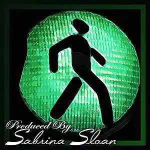 Picture for song 'FLOW' by artist 'SSJInstrumentals'