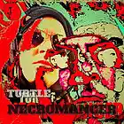 Picture for song 'SkyBaum' by artist 'Turtle Necromancer'