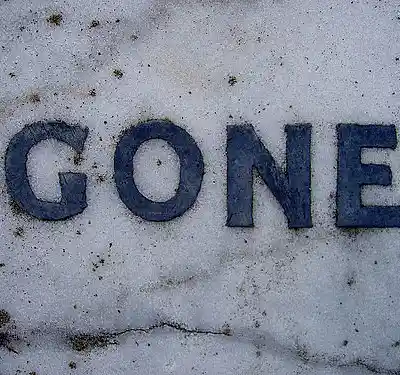 Picture for song 'Gone' by artist 'vreebeats'