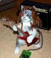 Picture for song 'ROCK OUT' by artist 'WES PIPES BEATS'