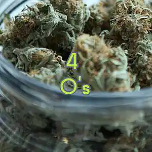 Picture for song '4 O's' by artist 'Anac On The Beat'