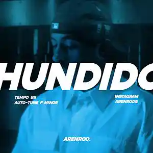 Picture for song 'HUNDIDO (FEID TYPE BEAT)' by artist 'Arenrods'