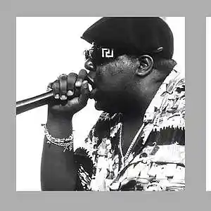 Picture for song 'Walk In NY (Rap Freestyle)' by artist 'Combo West'