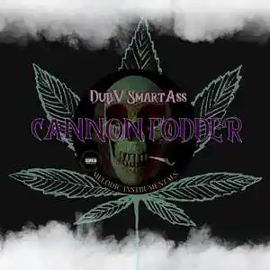 Picture for song 'Cannon Fodder' by artist 'DubV SmartAss'