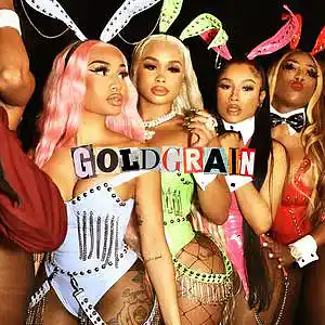 Picture for song 'TROPHIES - Drake Type Beat - 145bpm D#min' by artist 'Goldgrain'