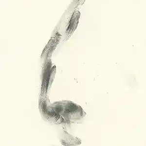 Picture for song 'Solitary Days' by artist 'paul gorman and the hypnotist collectors'