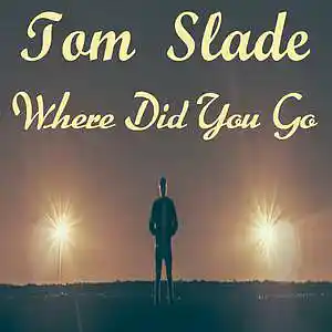 Picture for song 'Where Did You Go' by artist 'Tom Slade'