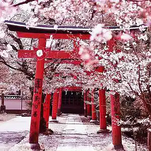 Picture for song 'Japanese type beat' by artist '1ne2wo12'