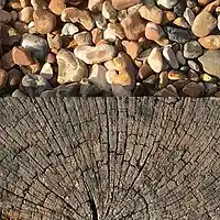 Picture for song 'Something New' by artist 'Heavens Air'