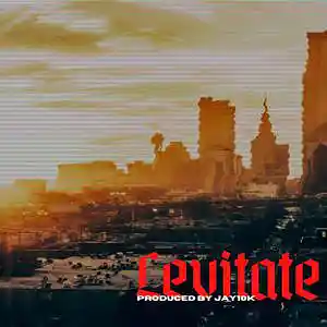 Picture for song 'Levitate (G eazy , Tyga)' by artist 'Jay10k producer'