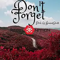 Picture for song 'Don't Forget' by artist 'JeaniusBeats'