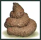 Picture for song 'poep(Chamo diss)' by artist 'MC viskroket'