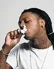 Picture for song 'Lil Wayne & Big Dave Ft. DreSlim - Blowin Money' by artist 'MR.SMIFF'
