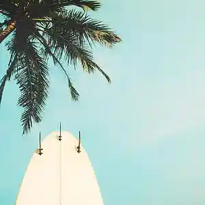 Picture for song 'Action' by artist 'Netuno Soundtracks'