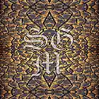 Picture for song 'Elastic Wood **NEW**FREEDOWNLOAD**' by artist 'Salvagem Music'