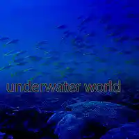 Picture for song 'underwater world' by artist 'Stereo2tape'