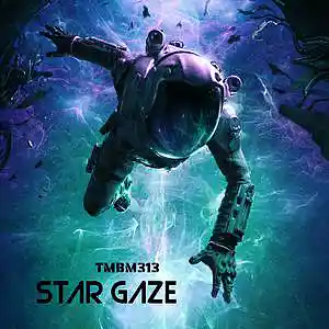 Picture for song 'Star Gaze' by artist 'TMBM313'