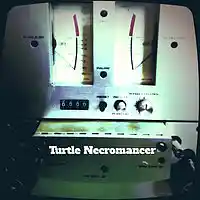 Picture for song 'OrganiX' by artist 'Turtle Necromancer'