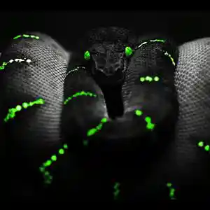 Picture for song 'Slime' by artist 'SammieStaxx'