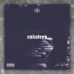 Picture for song 'raindrop (prod. beefbeats)' by artist 'prod CPK'