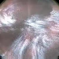 Picture for song '7.she never loved me wip' by artist 'BGN'