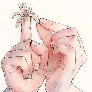 Picture for song 'String Cheese' by artist 'Black Chalk'