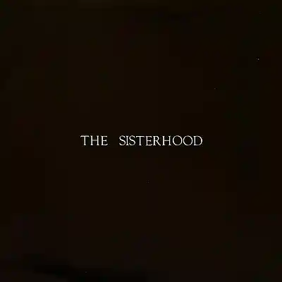 Picture for song 'Giving ground (Goth died in 85 mix)' by artist 'Blunt Force Trauma'