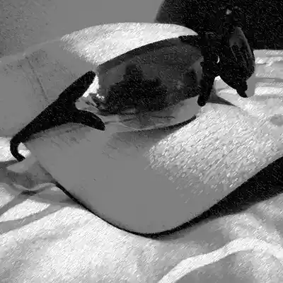 Picture for song '10 Near the Cross' by artist 'BuckMinor9651'