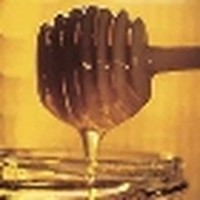 Picture for song 'Honey from the Rock' by artist 'Cam7Song'