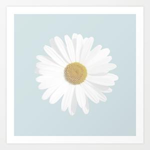 Picture for song 'Daisy (City Girls Type Beat) - Devezin.com' by artist 'Devezin'