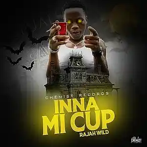 Picture for song 'RajahWild - Inna Mi Cup (D-Money On The Beat Remix' by artist 'D-Money On The Beat'