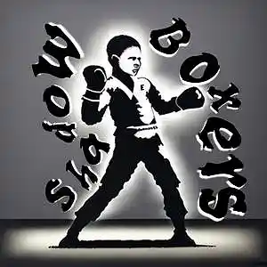 Picture for song 'SHADOW BOXERS' by artist 'Emayus'