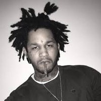 Picture for song 'Savage ' by artist 'InsayneOnTheTrack'