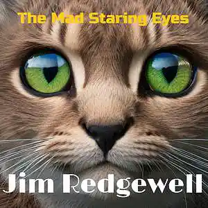 Picture for song 'Mad Staring Eyes' by artist 'Jim Redgewell'
