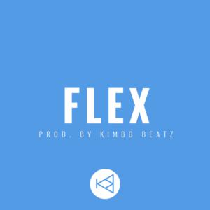 Picture for song 'FLEX (DEMO DOWNLOAD)' by artist 'KimboBeatz'