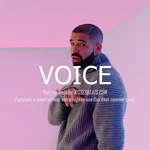 Picture for song 'Voice (Drake x Pop x Trap x Sad Type Beat)' by artist 'Kisses Beats'