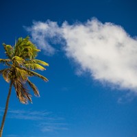 Picture for song '.:HOLIDAYS:. - smooth, east coast' by artist 'LazyRida'