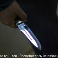 Picture for song ' hardly intertwined' by artist 'Leonid Minaev'