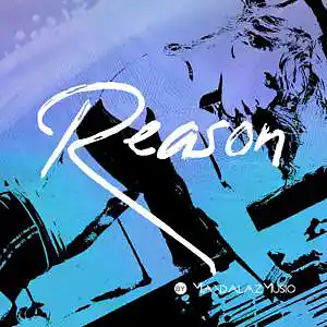 Picture for song 'Reason' by artist 'MandalazMusic'