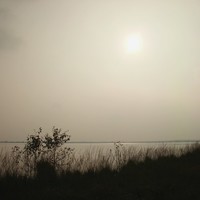 Picture for song 'Its not a victory' by artist 'Musicman-Production'