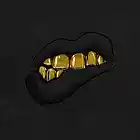Picture for song '*Hit* Grillz' by artist 'Nate Jayeyay'