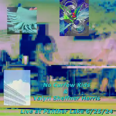 Picture for song 'Live at Panther Lake 6/25/24' by artist 'No Curfew Kids'