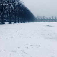 Picture for song 'Snow' by artist 'Rasam'