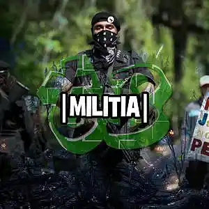 Picture for song 'Militia - Patriotic Type Beat - 103BPM' by artist 'tB HealthySickness'
