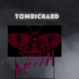 Picture for song 'Moth' by artist 'toMRichard'