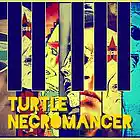 Picture for song 'Sequence Initiated' by artist 'Turtle Necromancer'