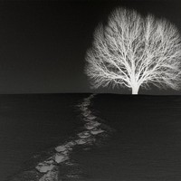 Picture for song 'A World Without Hue' by artist 'XL73'